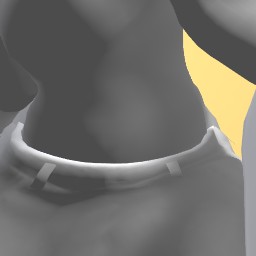 holly the disgusting troll