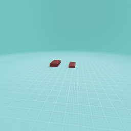 The feet of a kangaroo lol