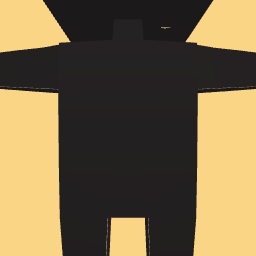 new costume copy