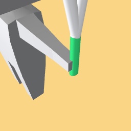 Leek/ (spring) green onion