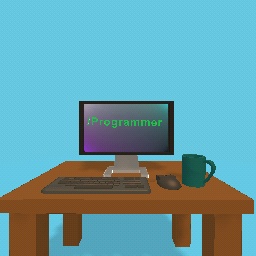 / programmer