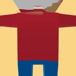 new costume