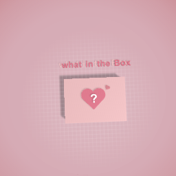 what in the Box