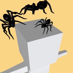 SPIDER