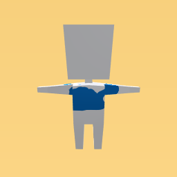 comes  how it look everything