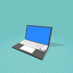 Computer