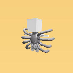 spider