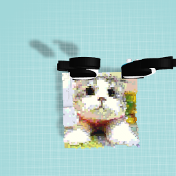 What a Lovely Kitten :)