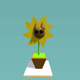 Cat sunflower