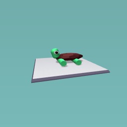 Turtle