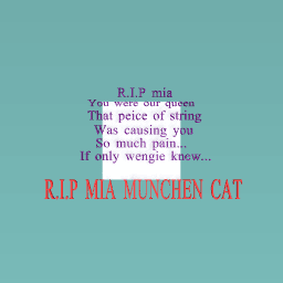 Rip mia the cat