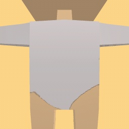 body suit