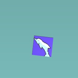 Dolphin