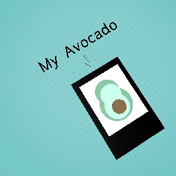 Avocado!