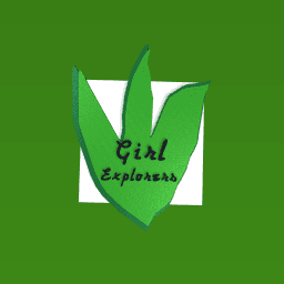 Girl Explorer’s chat room