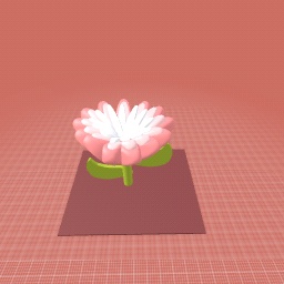 Pink flower