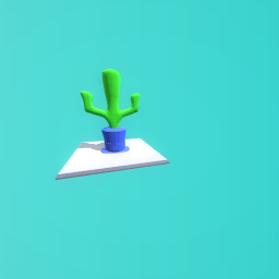 Cactus on a hat