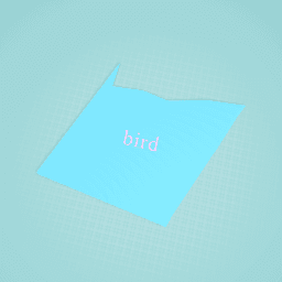bird