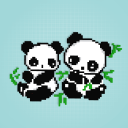 Cute baby pandas