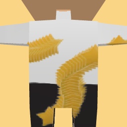 new costume