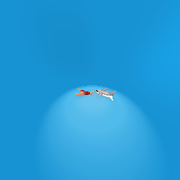 Shark chasing person