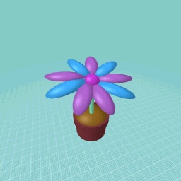 colored flowers