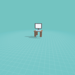 Computer