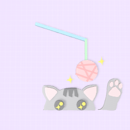 cute crazy cat