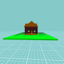Mincraft home