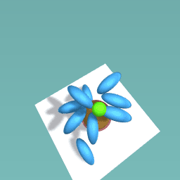 The flower lost it's petals!