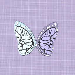 Minoko’s butterfly Clip