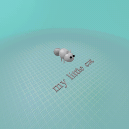 my little cat