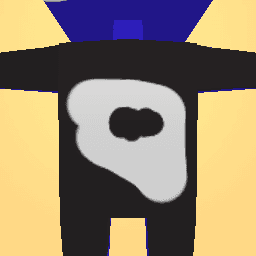 new costume