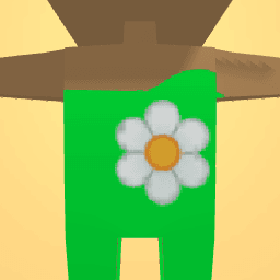 new costume