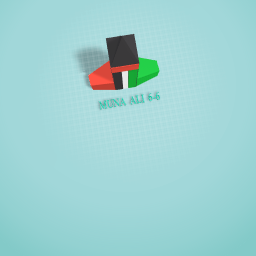 UAE rocket
