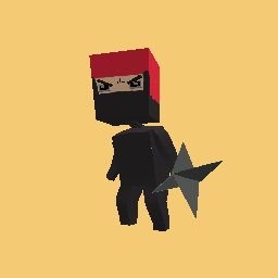 Ninja