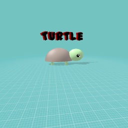 Cute lil turtle