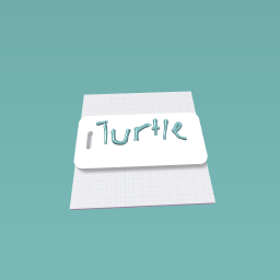 Turtle thingy