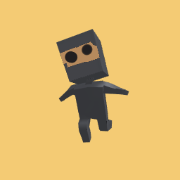 Ninja