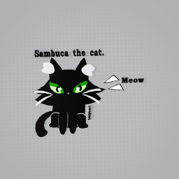 Sambuca the cat ♡