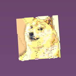doge