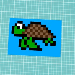 SAVE THE TURTLES!