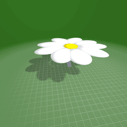 flower remake??????????