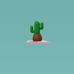 Cool cactus