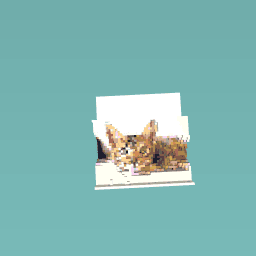 guess what is the animal?
