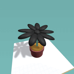 My black flower