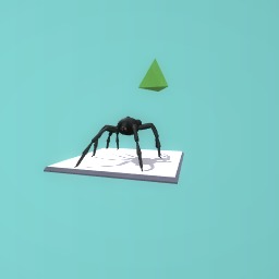 spider