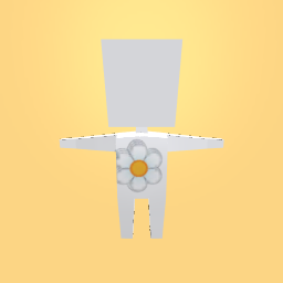 new costume