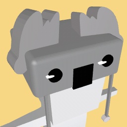 koala kid hat