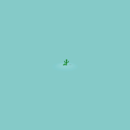 cacti fidget